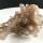 Natural Smoky Quartz Cluster
